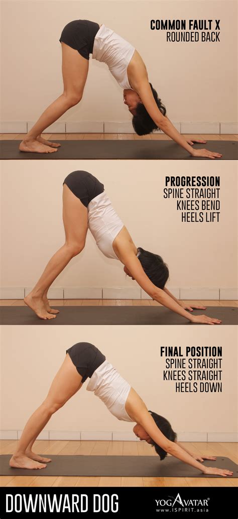 11+ Yoga Positions Downward Dog | Yoga Poses