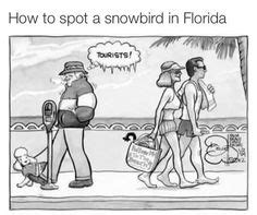 Snowbird, Sunshine State, True Stories, Tourist, Laugh, Male Sketch