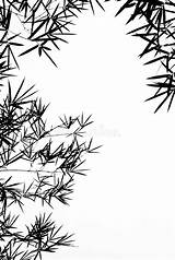 背景竹子离开剪影 库存例证 插画 包括有 叶子 环境 投反对票 空白 增长 背包 非常尖 植被  5599791 sketch template