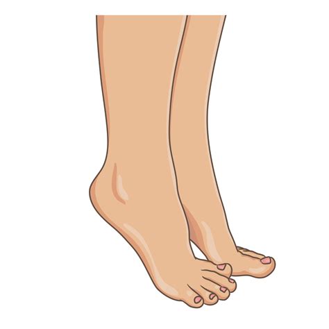 Female legs barefoot, side view. Vector illustration, hand drawn ...