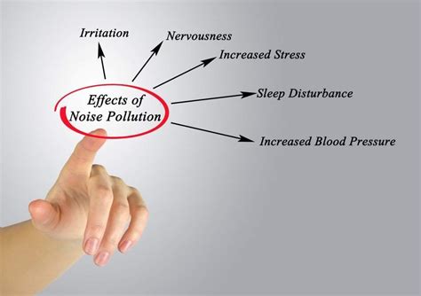 Effects of Noise Pollution - ISO Consultants Australia | Get ISO certified