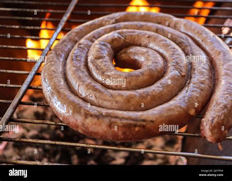 Boerewors sausage on a braai. Boerewors or braai wors, a South African traditional sausage meat ...