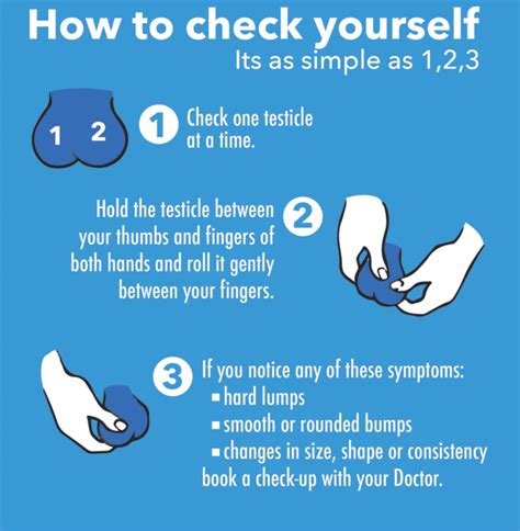 Testicular Cancer What Is It, Symptoms, Treatments | The Chestnut Appeal