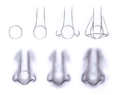 Tips on Drawing the Nose | Like Sketch