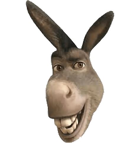 Funny Donkey Download Free Image Transparent HQ PNG Download | FreePNGimg