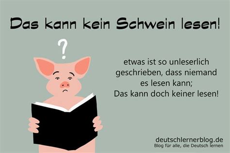 Das kann kein Schwein lesen! illustrierte Redewendungen