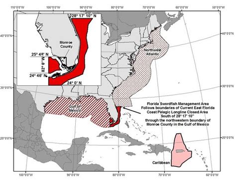 NOAA Increases Commercial Swordfish Retention | The Billfish Foundation