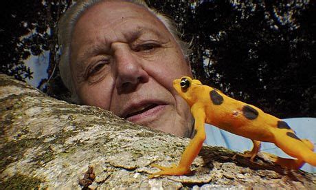 David Attenborough in the BBC series Life In Cold Blood. Photograph ...