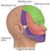 Atypical Facial Pain Treatment/ Specialist Pune- Dr Deshmukh's Pain ...