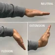 Wrist Flexion & Extension - Samarpan Physiotherapy Clinic