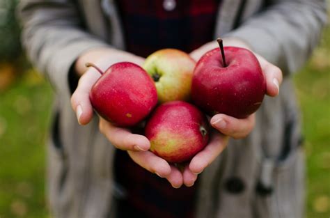 Caramel Apple Balls: You’ll Love This Delicious Treat for Fall - Gagen ...