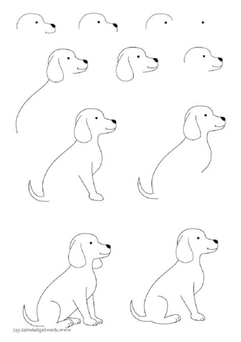 How To Draw Easy Animals (Step By Step Image Guides) - Bored Art | Easy animal drawings, Easy ...