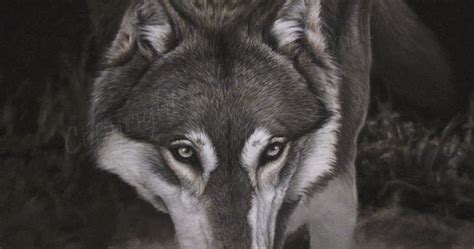 Pet Portraits and Wildlife Art by Canadian Nature and Animal Artist Colette Theriault -LATEST ...