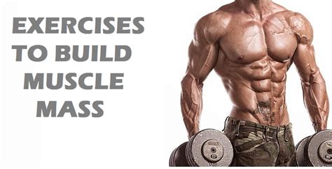 Fitnex Pro: 5 Exercises To Build Muscle Mass Fast