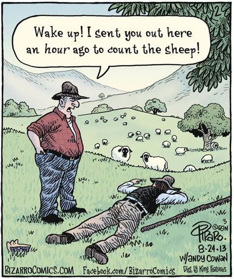 count sheep zzzzz | Cartoon jokes, Bizarro comic, Dad jokes funny