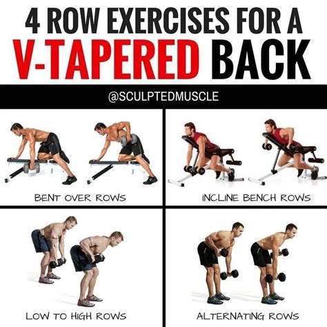 Pin by Jen Shigemi on Pins Are Important | Dumbbell back workout, Back workout men, Lat workout