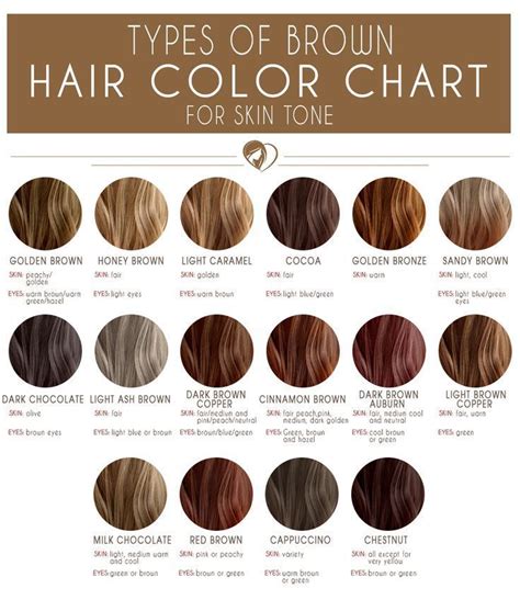 24 shades of brown Hair color chart for every complexion | Brown hair ...