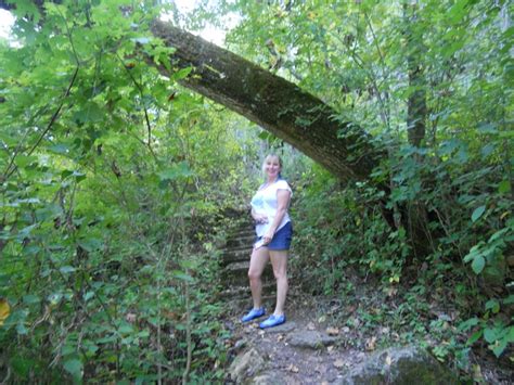 Hiking trails In the Mark Twain National Forest in Missouri. | Camping in illinois, Missouri ...