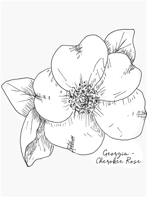 "Cherokee Rose Georgia State Flower by Journey Home Made" Sticker for Sale by JourneyHomeMade ...