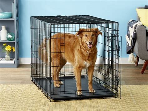 Best 5 Large Dog Crate With Divider In XL Size 2022 Reviews