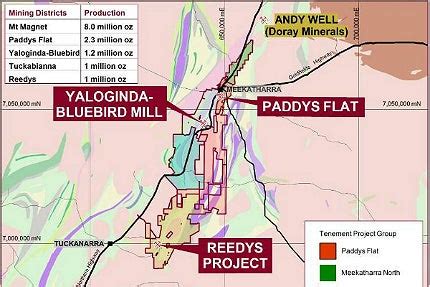 Meekatharra Gold Project - Mining Technology