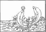 Free Printable Dolphin Coloring Pages For Kids sketch template