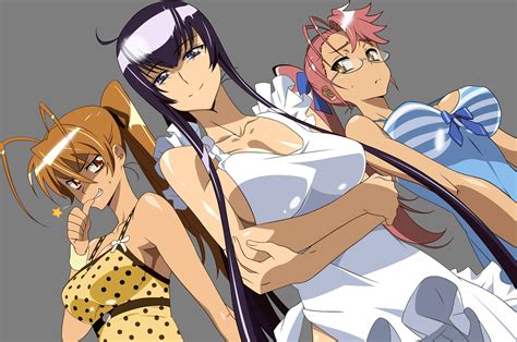 Highschool Of The Dead Manga Download - selfiebranding