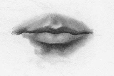 Drawing Lips, Male, Demo, Step 3 | Lee Hammond | How to Draw Facial Features for Beginners ...