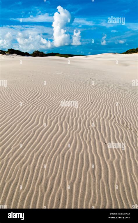 Coastal sand dunes, Moreton Island, Queensland, Australia Stock Photo ...