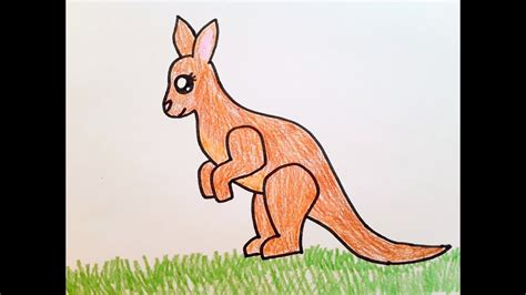 How To Draw A Kangaroo - YouTube