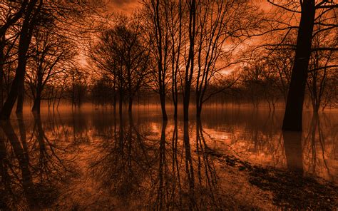 Reflections of Twilight - HD Nature Wallpaper