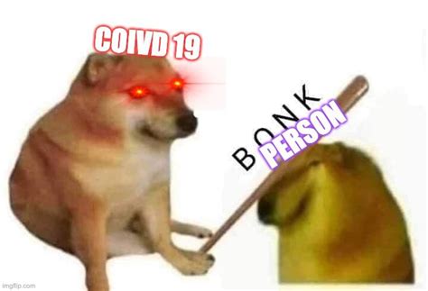 Doge bonk in 2021 | Doge bonk, Doge, Doge memes