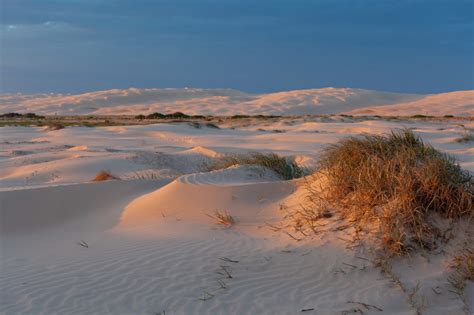 sand dunes anna bay - Jenice Lanese