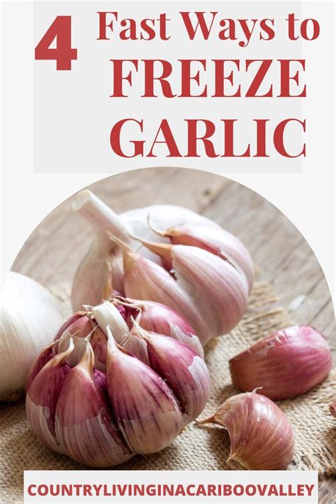 How to safely freeze garlic! Different ways to preserve garlic ...