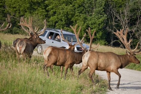 Henry Doorly Zoo's Wildlife Safari Park named best in country | Good ...