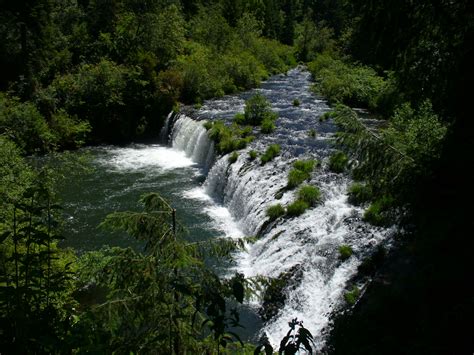 Blurb Column: Butte Falls