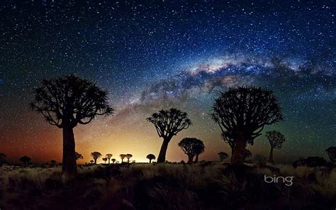 HD wallpaper: African grasslands night sky-May 2013 Bing wallpap ...