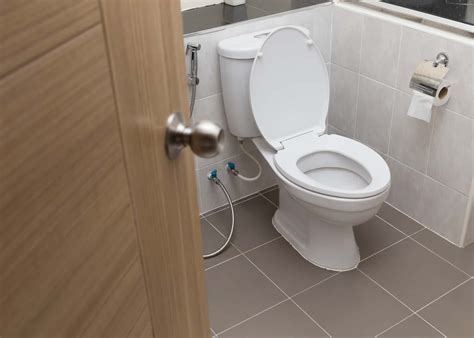 Best Flushing Toilet 2024 - Barrie Jaynell