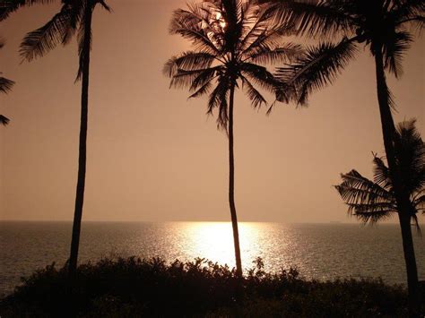 Cherai Beach Kerala - History, Timings, Entry Fee, Attractions, Activities