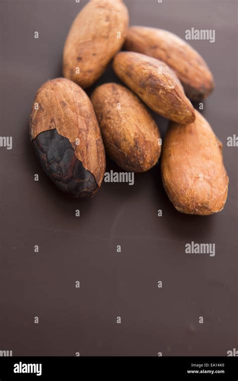 Cacao beans with milk chocolate Stock Photo - Alamy