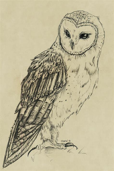 owl in flight drawing - Google Search | Owls drawing, Barn owl tattoo ...