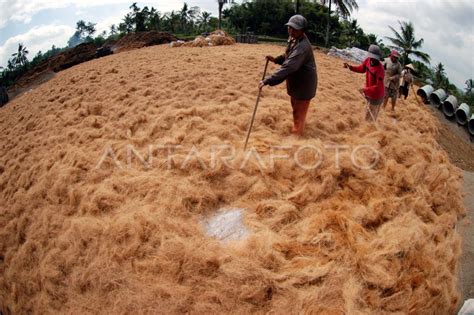 SABUT KELAPA | ANTARA Foto