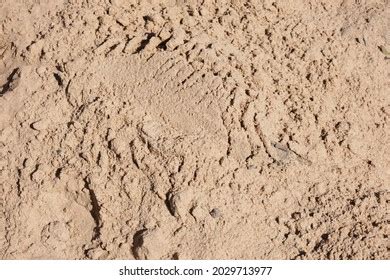 Construction Sand Texture Outside Pile Sand Stock Photo 2029713977 ...