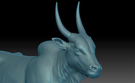 Indian OX - ZBrushCentral