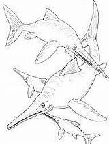 Ichthyosaur Coloring Pages Printable For Free Download sketch template