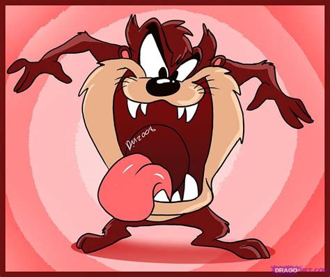 Tasmanian Devil Cartoon Network - HD wallpaper | Pxfuel