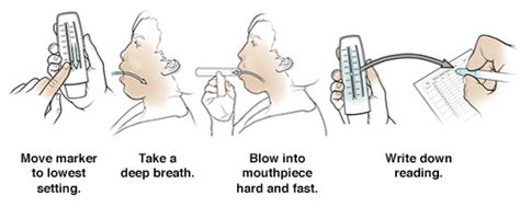 Using a Peak Flow Meter