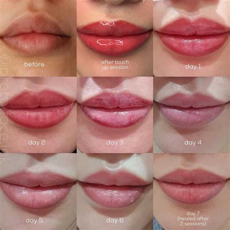 Lip Blush – Angel Monet Beauty