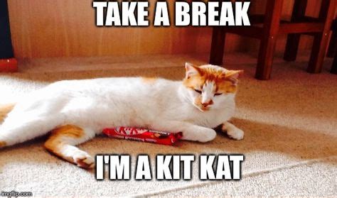 Kit Kat cat | TAKE A BREAK I'M A KIT KAT | image tagged in funny,cats,memes | made w/ Imgflip ...