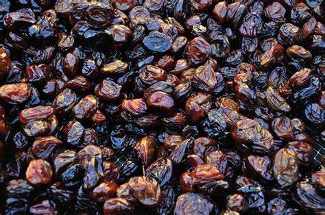 Eating Prunes to Lose Weight | Livestrong.com